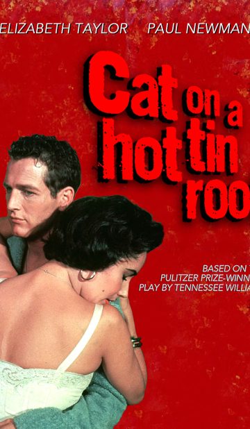 MAČKA NA VRUĆEM LIMENOM KROVU / Cat on a hot tin Roof