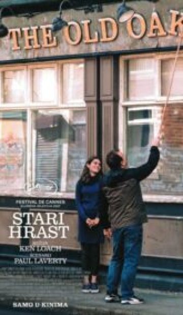 STARI HRAST / The Old Oak