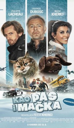 KAO PAS I MAČKA / Cat and Dog