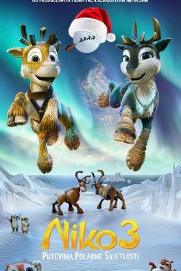 NIKO 3: Putevima polarne svjetlosti