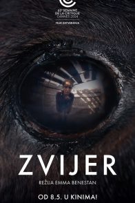 ZVIJER / The Beast