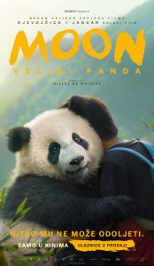 MOON : VELIKI PANDA  /  Moon The Panda