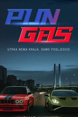 PUN GAS / The Race