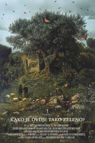 ZFF putuje : KAKO JE OVDJE TAKO ZELENO?