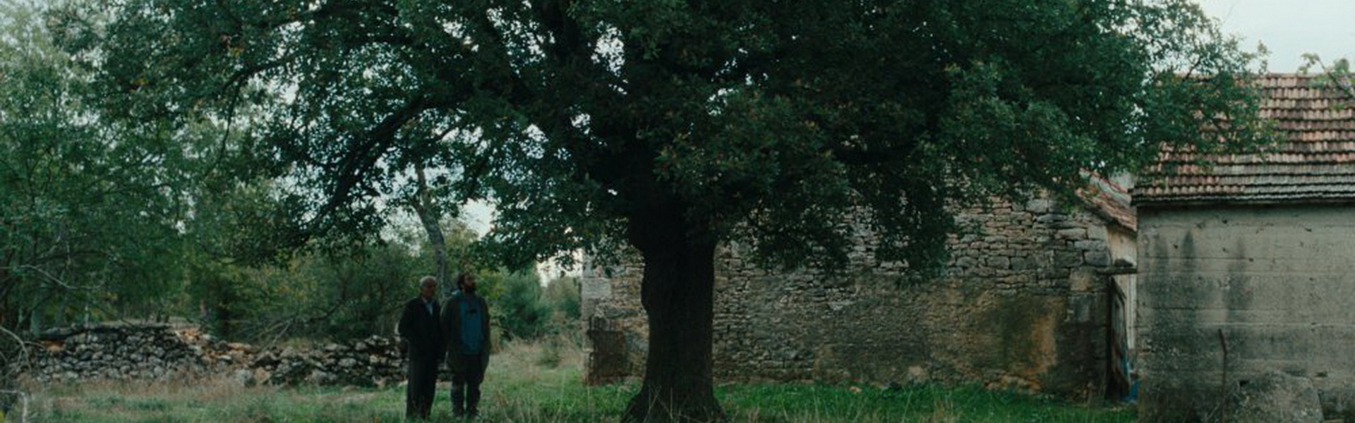 ZFF putuje : KAKO JE OVDJE TAKO ZELENO?