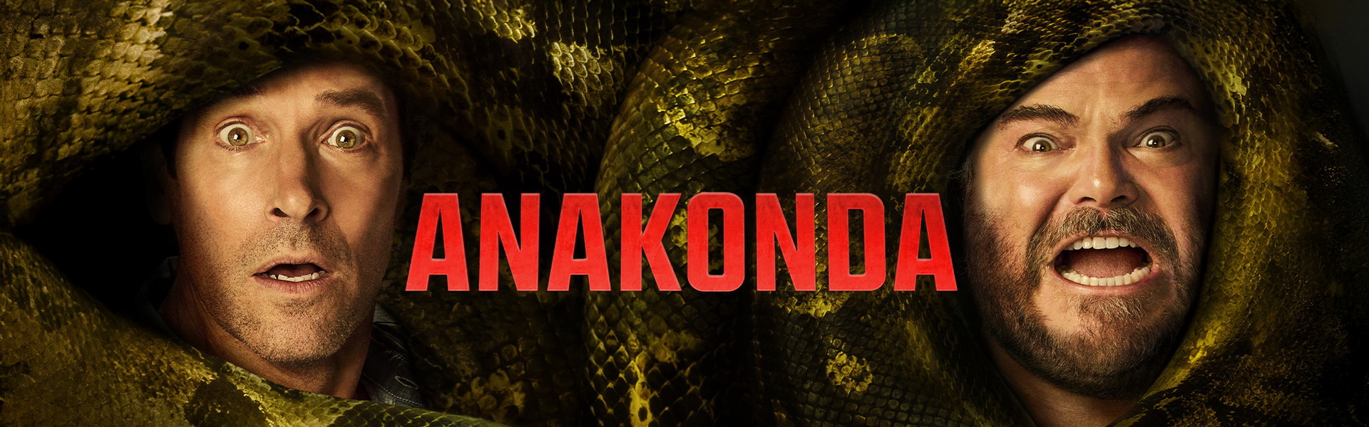 ANAKONDA / Anaconda