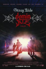 Stray Kids: The dominATE Experience