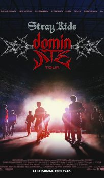 Stray Kids: The dominATE Experience