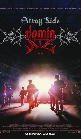 Stray Kids: The dominATE Experience
