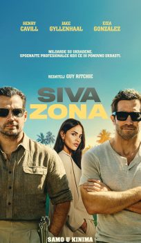 SIVA ZONA / In the Grey